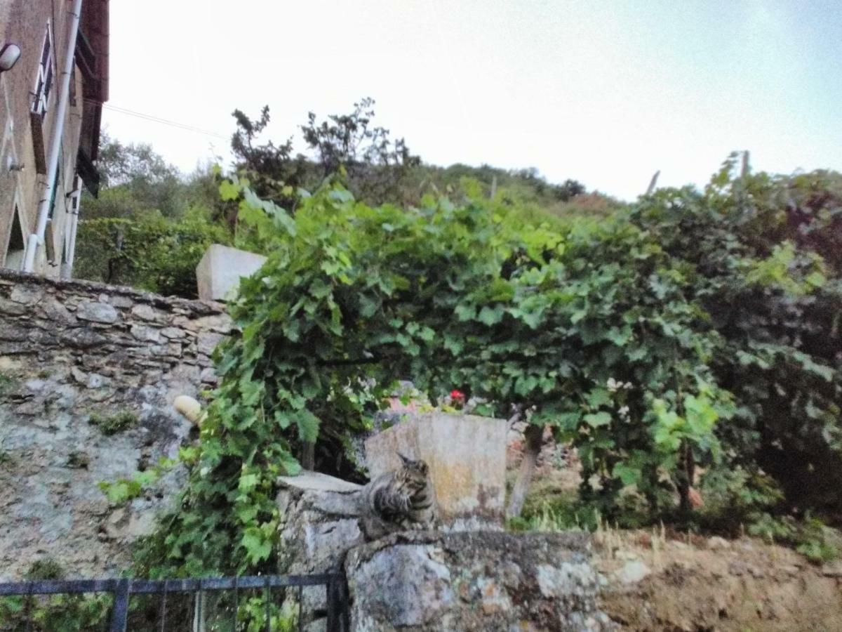 Casa Quaratica Lejlighed Riccò del Golfo di Spezia Eksteriør billede